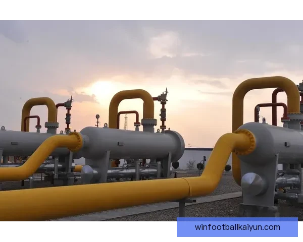 欧洲杯碳中和策略逐步实施，赛事可持续性备受关注